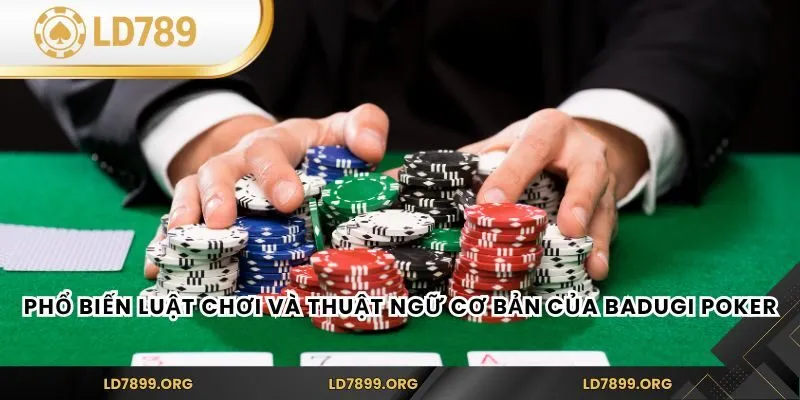 Phổ biến luật chơi và thuật ngữ cơ bản của Badugi Poker