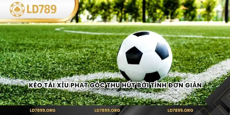 Kèo tài xỉu phạt góc thu hút bởi tính đơn giản