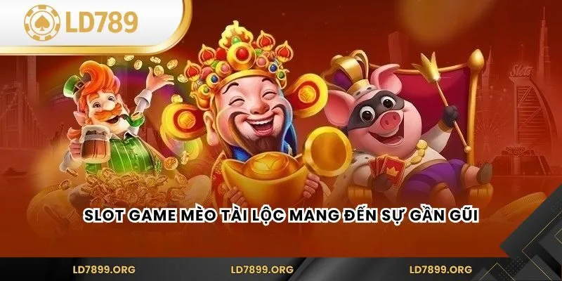 Slot game Mèo Tài Lộc mang đến sự gần gũi