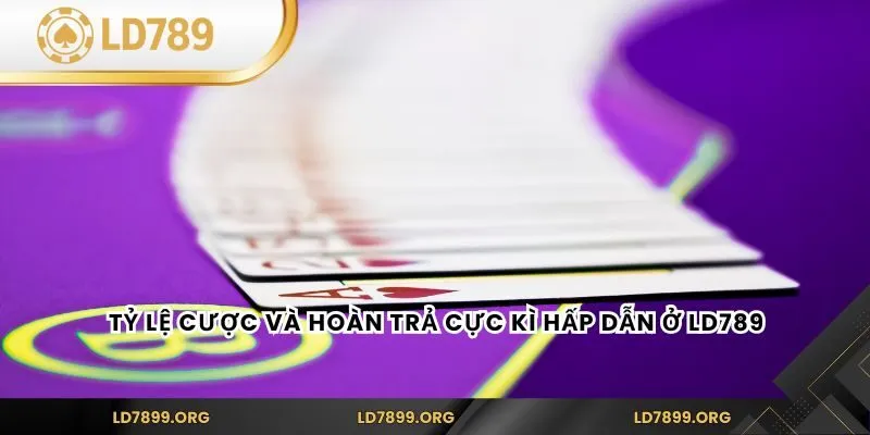 Tỷ lệ cược và hoàn trả cực kì hấp dẫn ở LD789